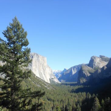 Life Detox Mantra - Yosemite