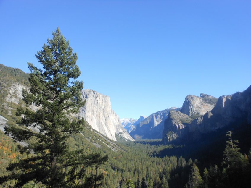 Life Detox Mantra - Yosemite