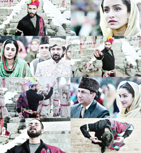 Haider2